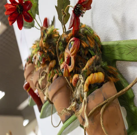 Plantas extrañas en la Apertura de la Linea Imagen