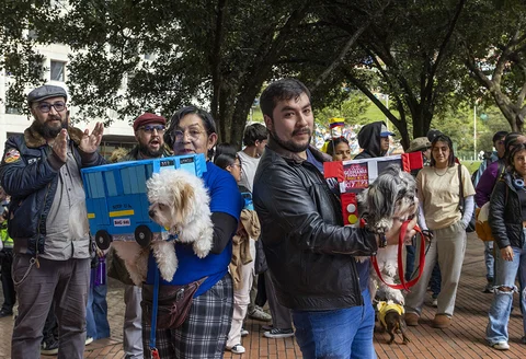 pasarela.disfraces_-_cabitofest_9.jpg