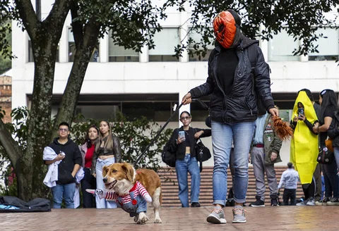 pasarela_1.jpg