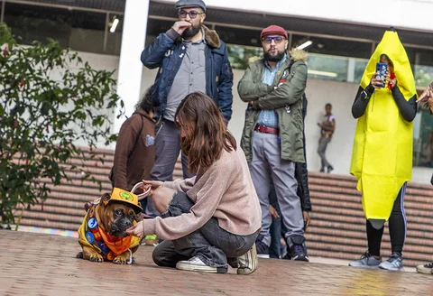 pasarela_2.jpg