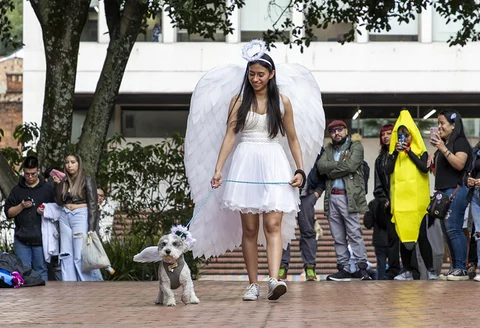 pasarela_4.jpg