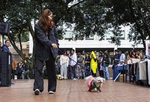 pasarela_6.jpg