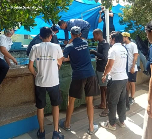 Navegantes Ancestrales - investigación