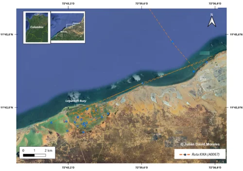 Navegantes Ancestrales - investigación