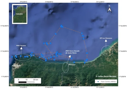 Navegantes Ancestrales - investigación
