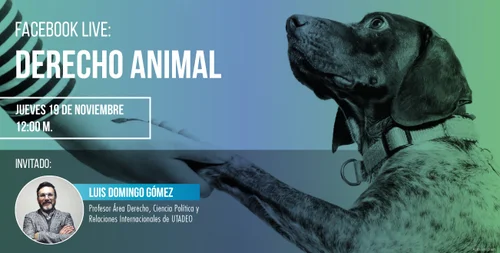 nota_web_derecho_animal.jpg