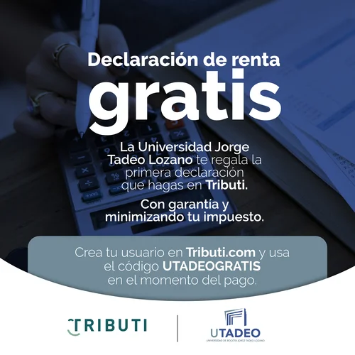 pieza_redes_1_tributi_u._tadeo.jpg