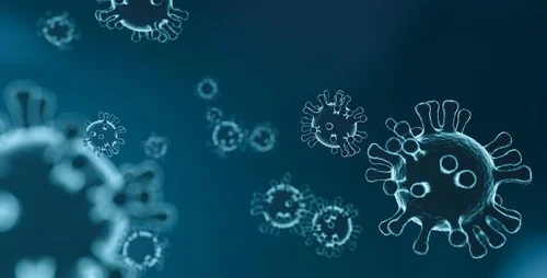 virus-4835301_1920_0_0_1.jpg