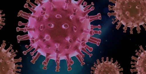 virus-4937553_960_720.jpg