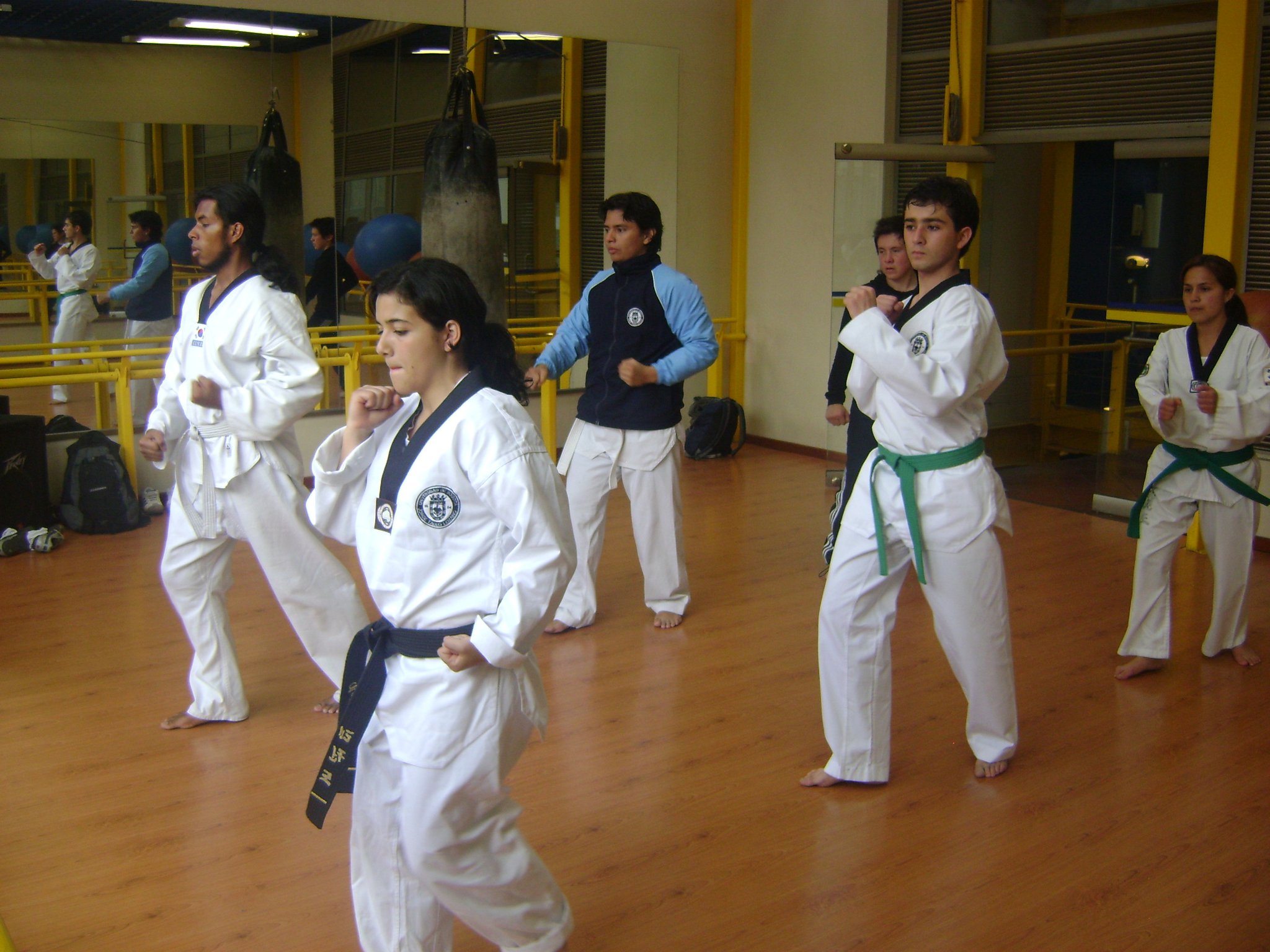 Entrenamiento de Taekwondo Universidad de Bogotá Tadeo Lozano Entrenamiento de Taekwondo Universidad de Bogotá Tadeo Lozano