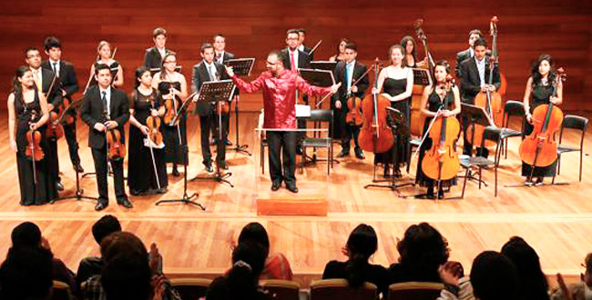 Diferencia Entre Orquesta De Camara Y Sinfonica