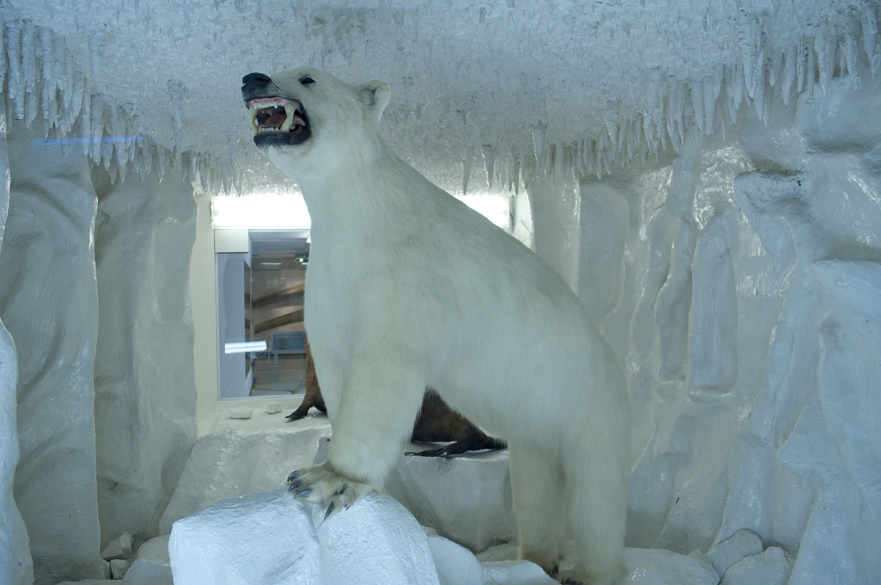 Museo del Mar Universidad de Bogotá Tadeo Lozano
