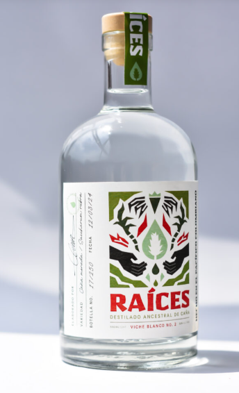 foto de la propuesta de raices