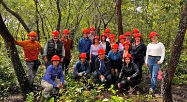 Profesores e investigadores en salida de campo de análisis de reforestaciones