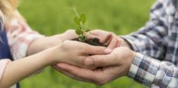 Pareja sostiene entre sus manos una planta