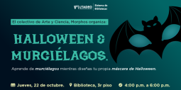 Halloween y Murciélagos con el Colectivo Morphos 