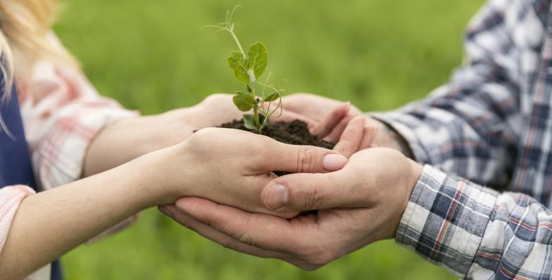 Pareja sostiene entre sus manos una planta