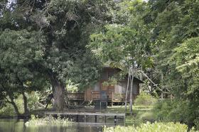 Parque Nacional Katios, en inmediaciones del rio Cacarica.