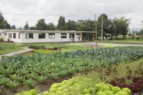 Huerta de producción limpia, emprendimiento de base tecnológica.