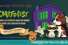 Jornada de sensibilización y adopción con Apamac y Colectivo Dejando Huella Jornada de sensibilización y adopción con Apamac y Colectivo Dejando Huella