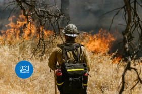 Incendios forestales: impacto y realidad en Colombia