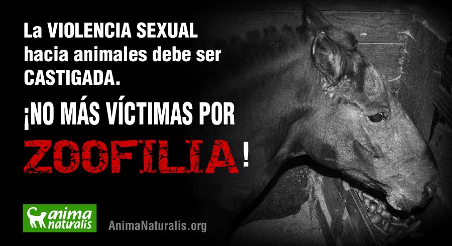 En Este Pa s Donde Es Legal La Zoofilia Ahora Busca Prohibirla en-este-pa-s-donde-es-legal-la-zoofilia-ahora-busca-prohibirla