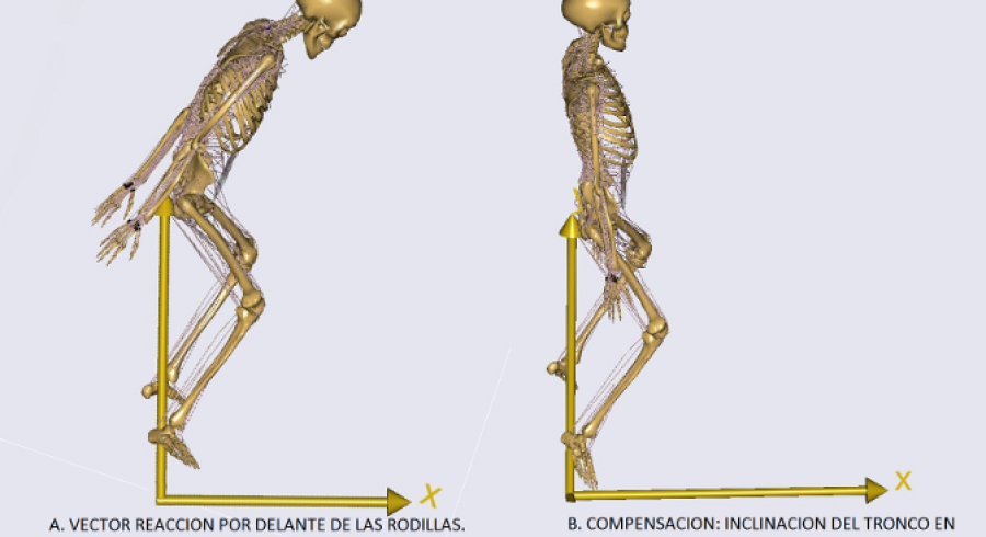 Experimental determination and simulation of gait pattern in patients ...