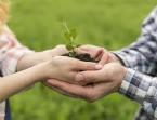 Pareja sostiene entre sus manos una planta